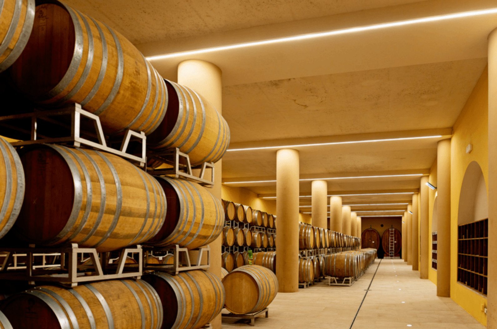 Organic Winery Estate In Montepulciano 50 Hec Of Premium Vineyards And Olive Groves Estate in Montepulciano, Tuscany, Italy 1 - 15628784