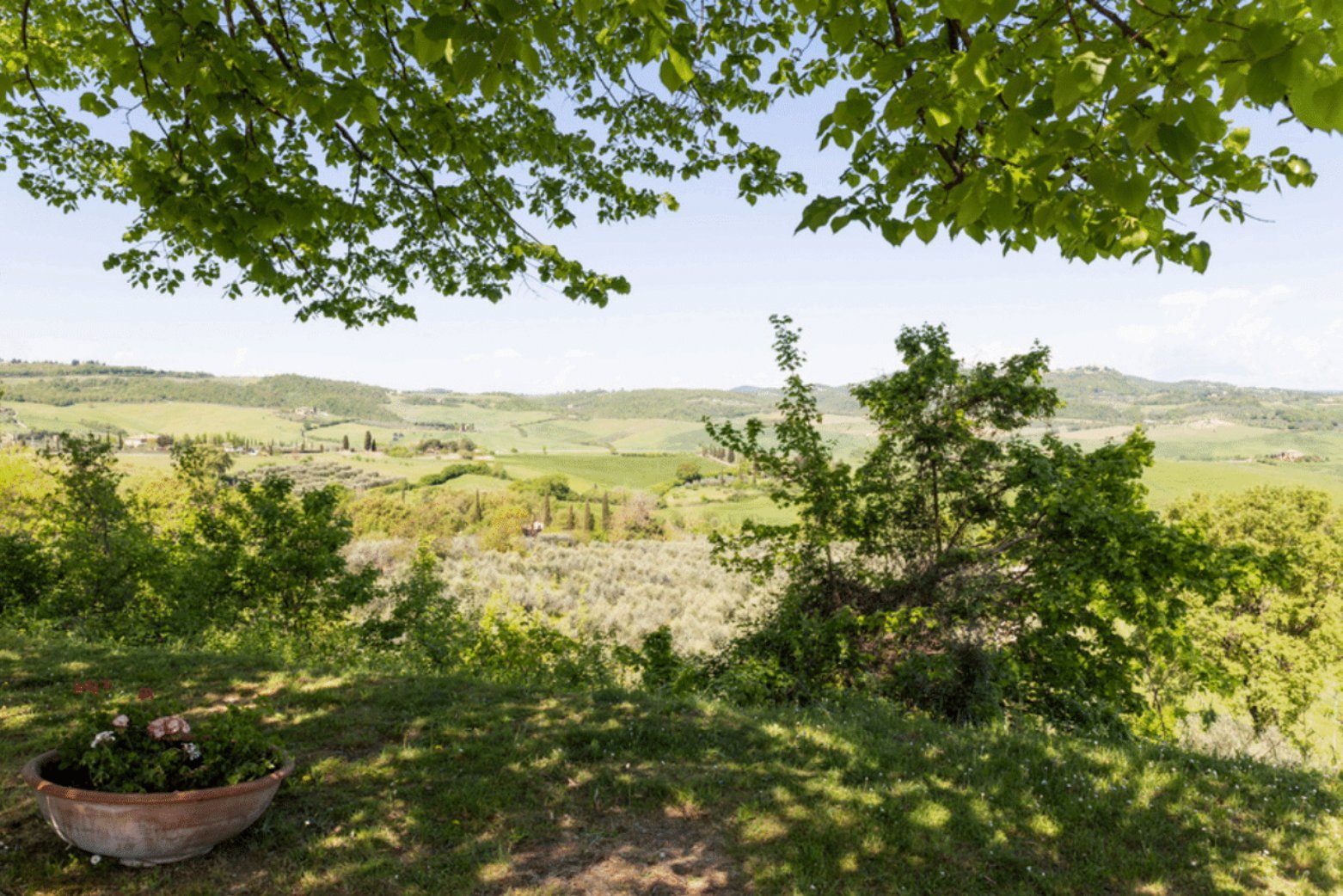 Organic Winery Estate In Montepulciano 50 Hec Of Premium Vineyards And Olive Groves Estate in Montepulciano, Tuscany, Italy 1 - 15628784
