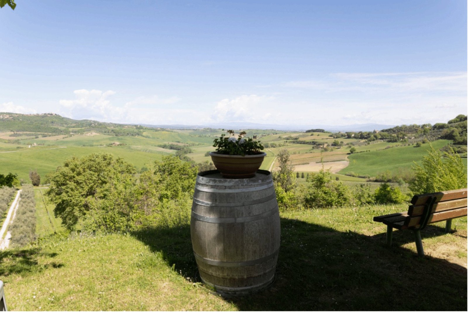 Organic Winery Estate In Montepulciano 50 Hec Of Premium Vineyards And Olive Groves Estate in Montepulciano, Tuscany, Italy 1 - 15628784