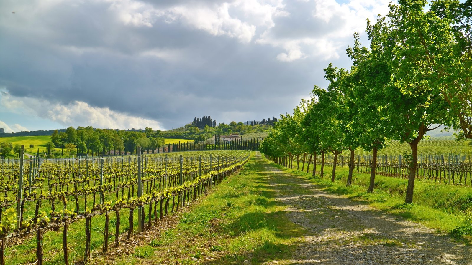 Villa Boreale: An Iconic Estate With A Luxury Resort In The Sienese Hills Estate in Sarteano, Tuscany, Italy 1 - 15231805