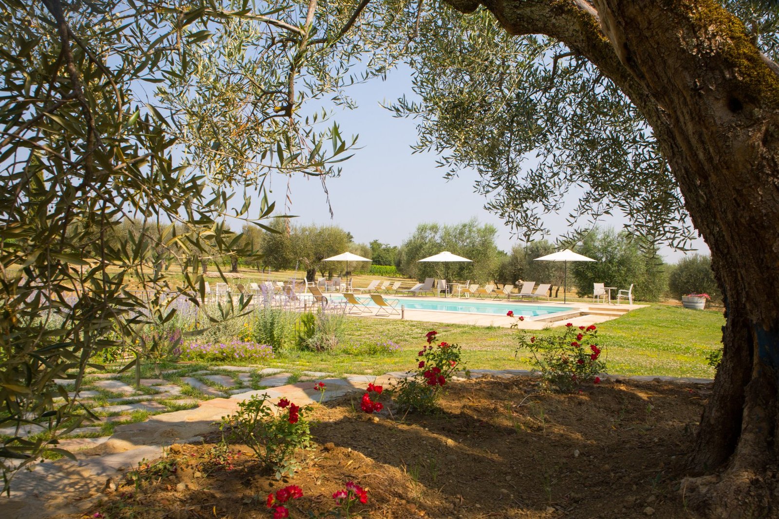 Villa Boreale: An Iconic Estate With A Luxury Resort In The Sienese Hills Estate in Sarteano, Tuscany, Italy 1 - 15231805