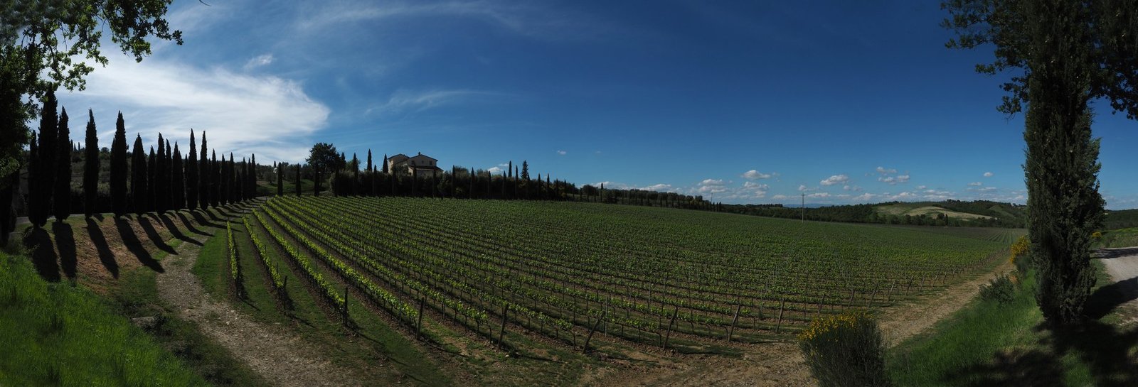 Villa Boreale: An Iconic Estate With A Luxury Resort In The Sienese Hills Estate in Sarteano, Tuscany, Italy 1 - 15231805