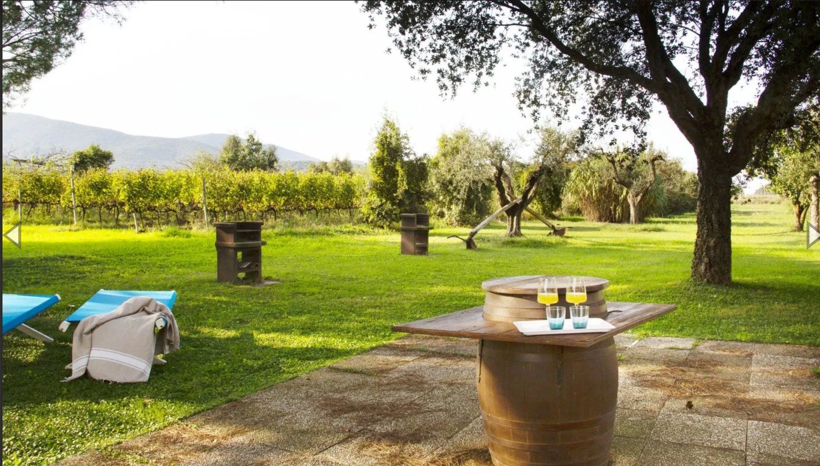 Agriturismo In Maremma Estate in Tuscany, Italy 1 - 16021379