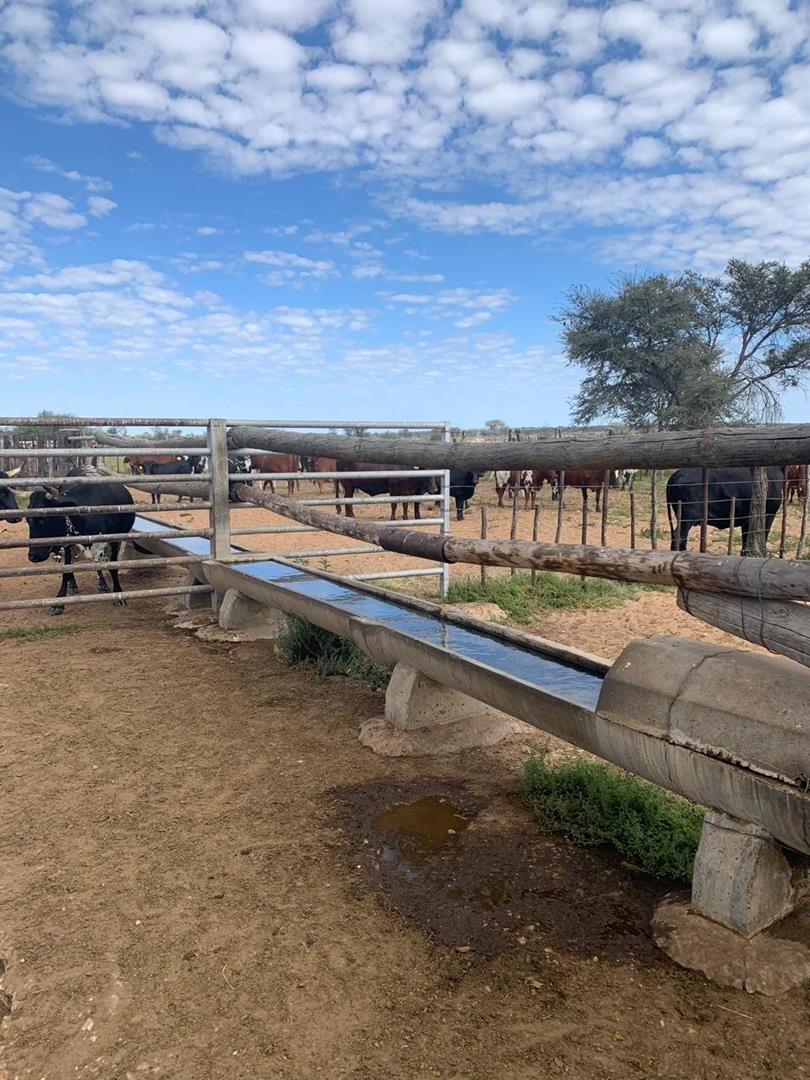 For Sale Cattle & Game Farm In The Gobabis Area Farm Ranch in Gobabis, Omaheke Region, Namibia