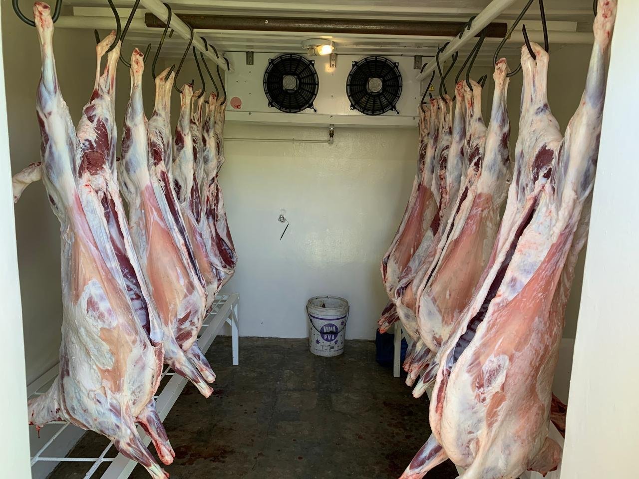 For Sale Cattle & Game Farm In The Gobabis Area Farm Ranch in Gobabis, Omaheke Region, Namibia