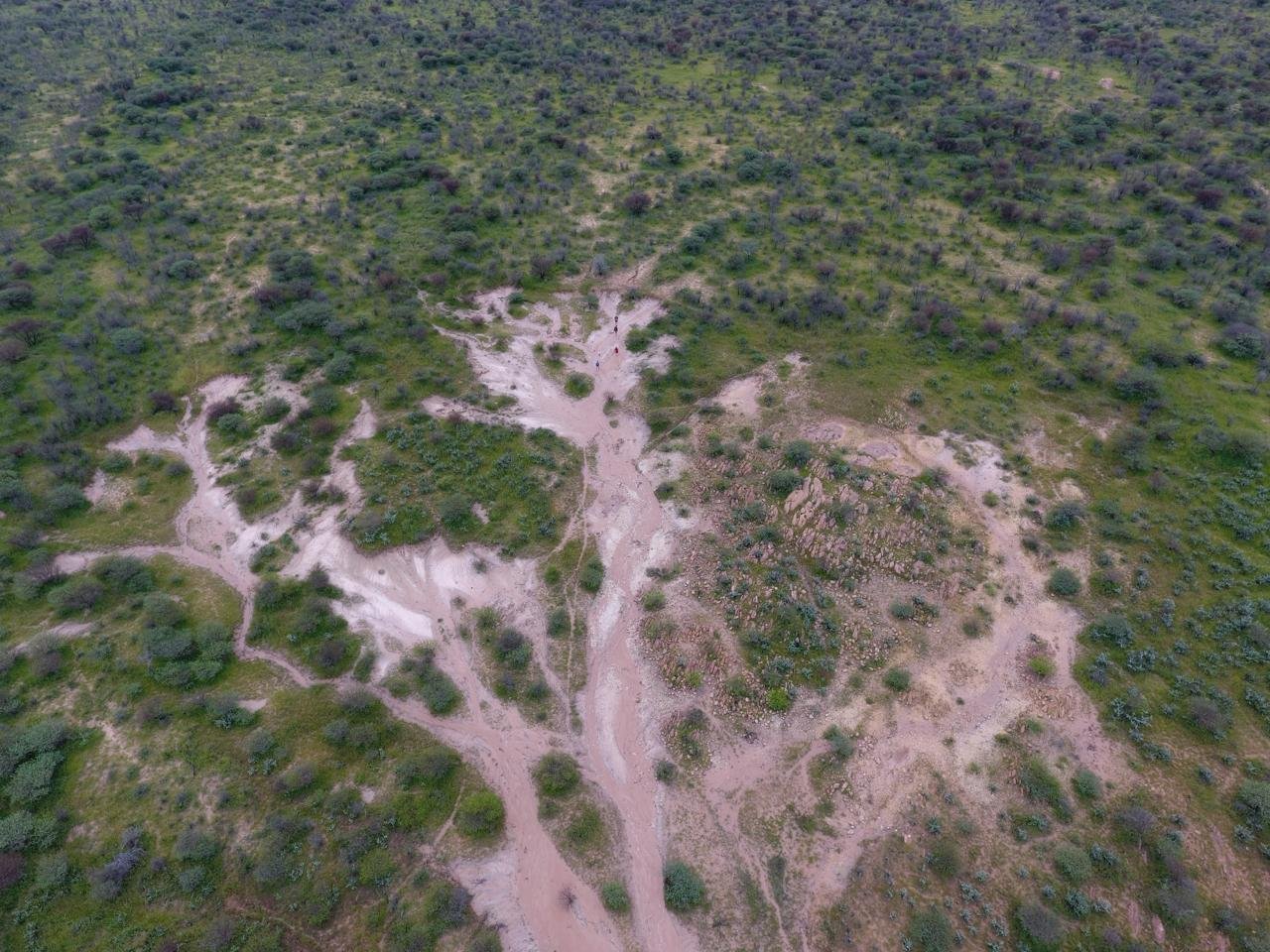 For Sale Cattle & Game Farm In The Gobabis Area Farm Ranch in Gobabis, Omaheke Region, Namibia