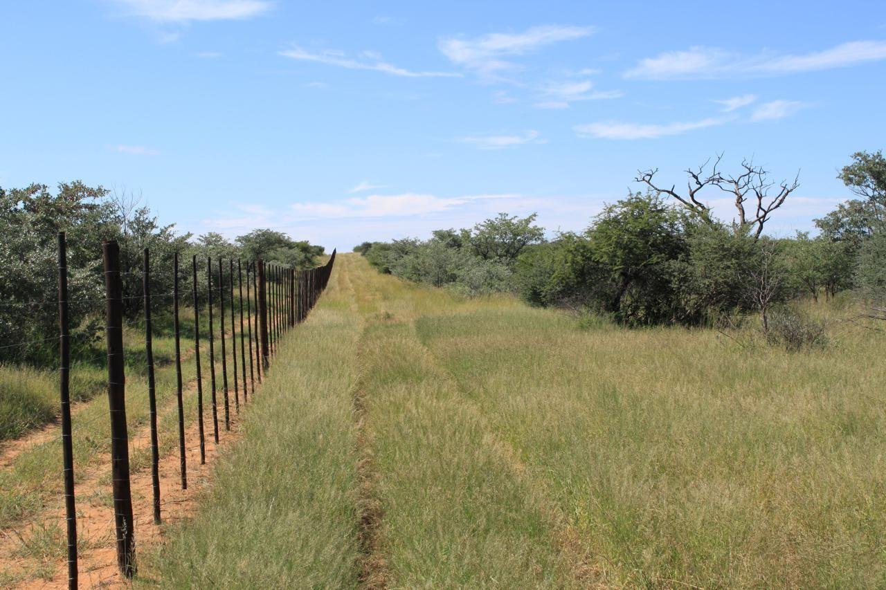 For Sale Cattle & Game Farm In The Gobabis Area Farm Ranch in Gobabis, Omaheke Region, Namibia