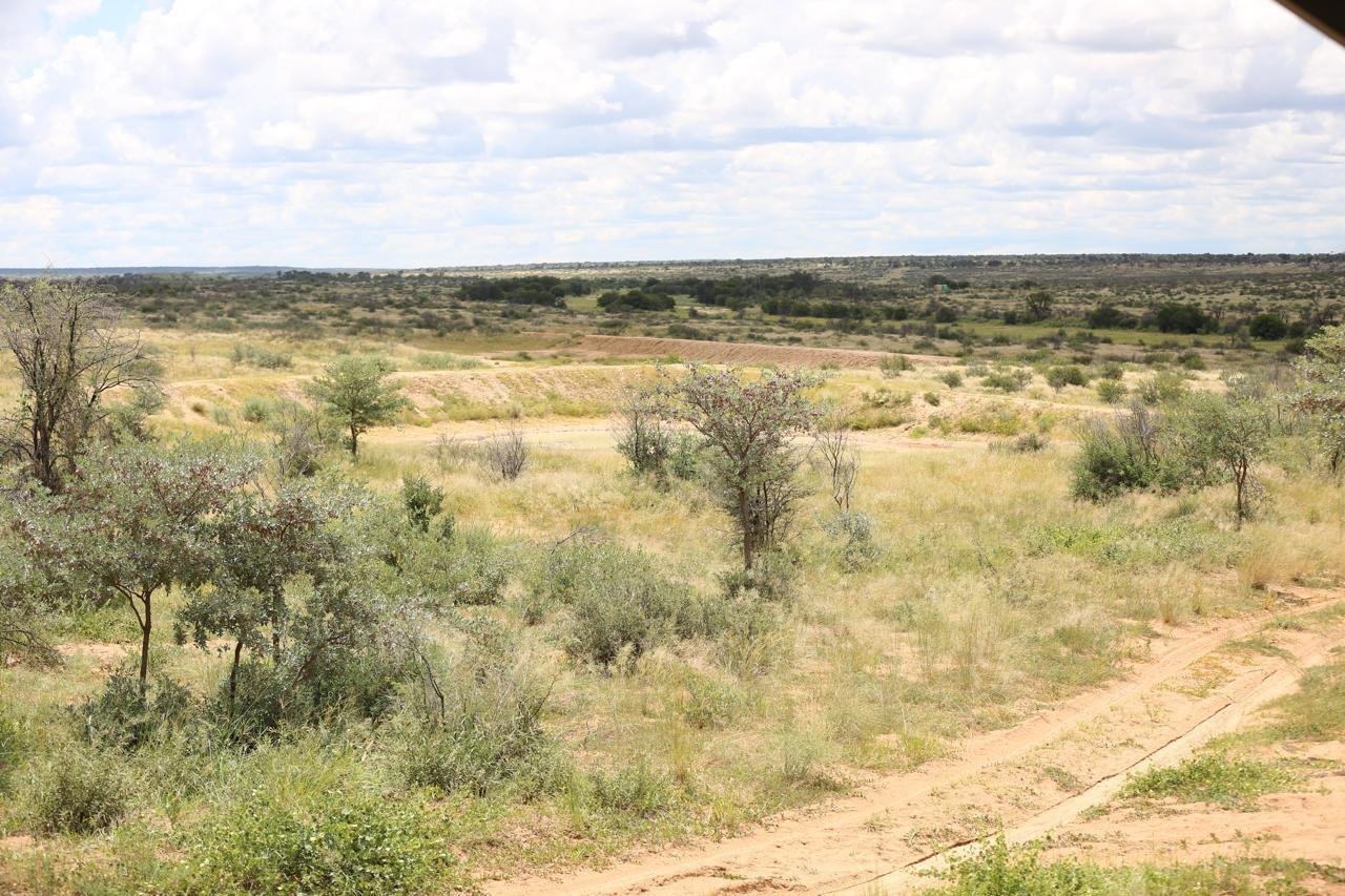 For Sale Cattle & Game Farm In The Gobabis Area Farm Ranch in Gobabis, Omaheke Region, Namibia