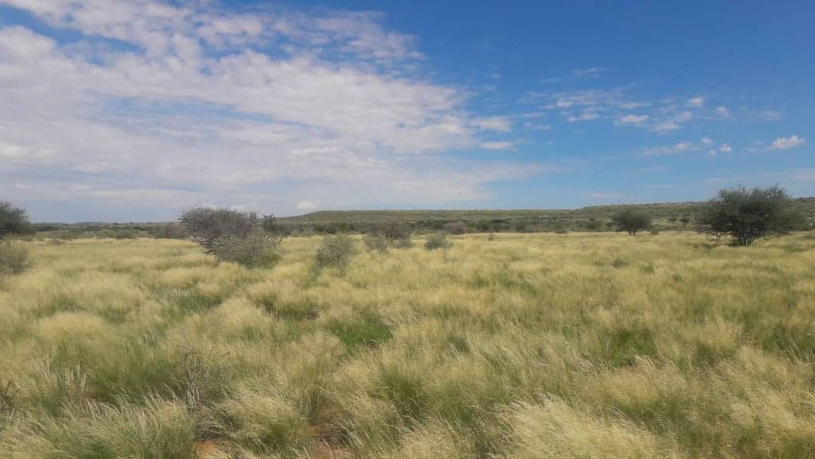 Farm Ranch in Karasburg, Karas Region, Namibia