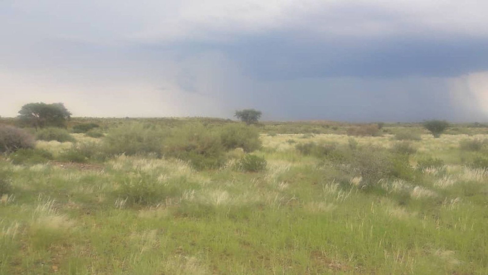 Farm Ranch in Karasburg, Karas Region, Namibia