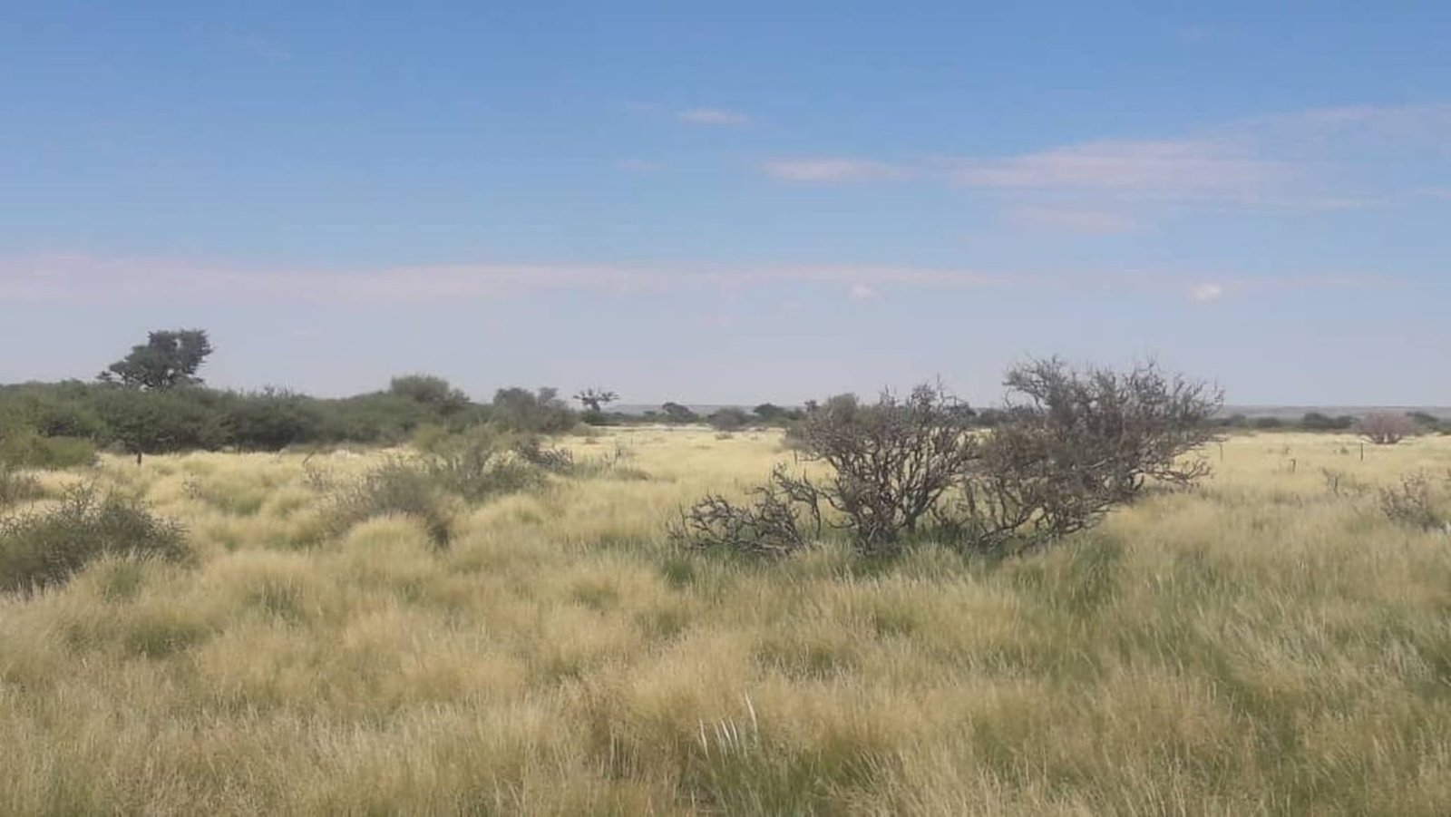 Farm Ranch in Karasburg, Karas Region, Namibia