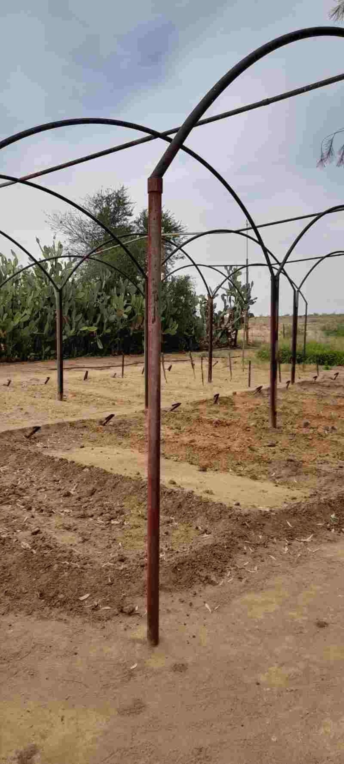 Farm Ranch in Karasburg, Karas Region, Namibia