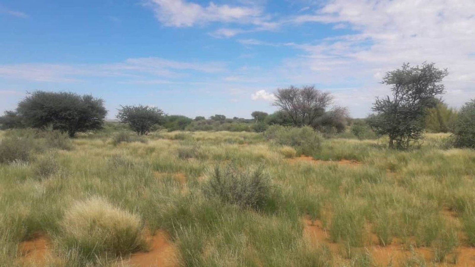 Farm Ranch in Karasburg, Karas Region, Namibia