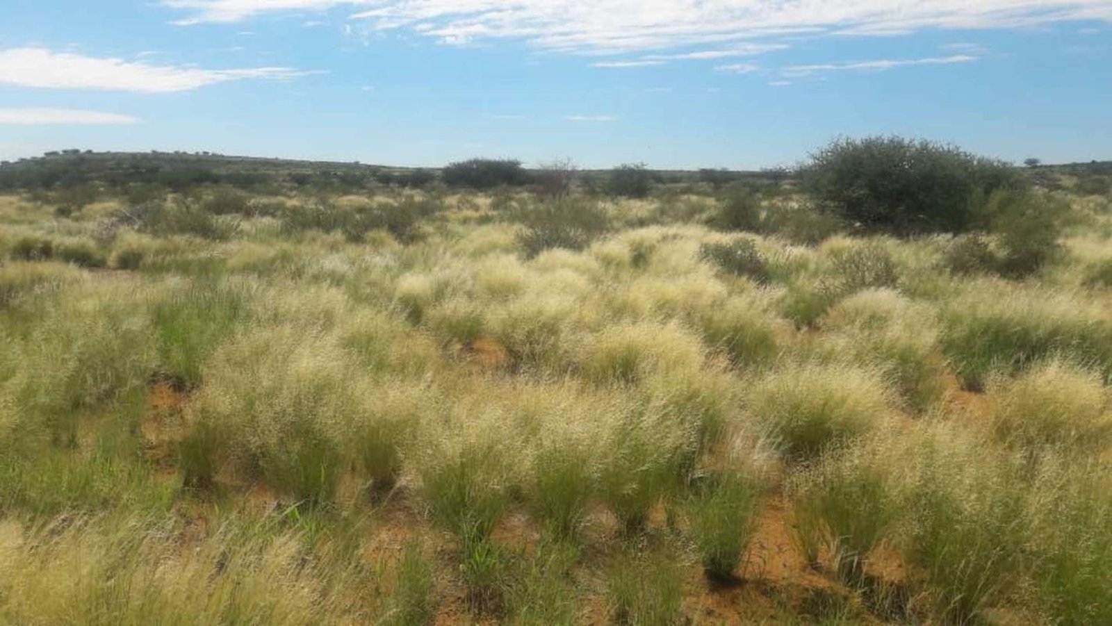 Farm Ranch in Karasburg, Karas Region, Namibia