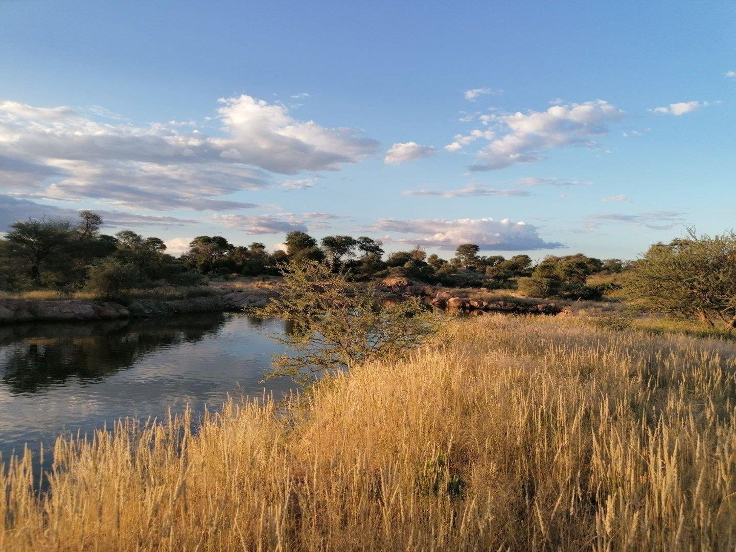 Game Farm In Karibib Farm Ranch in Karibib, Erongo Region, Namibia