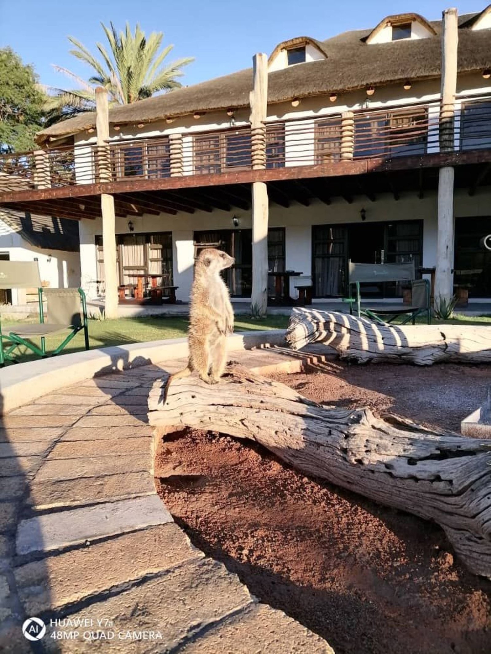 For Sale Game Lodge In Omaruru Area, Namibia Farm Ranch in Omaruru, Erongo Region, Namibia