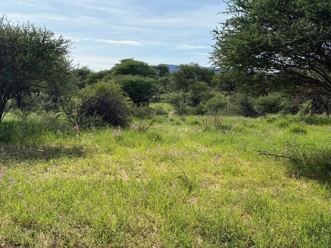 For Sale Farm In Omaruru, Namibia Farm Ranch in Omaruru, Erongo Region, Namibia