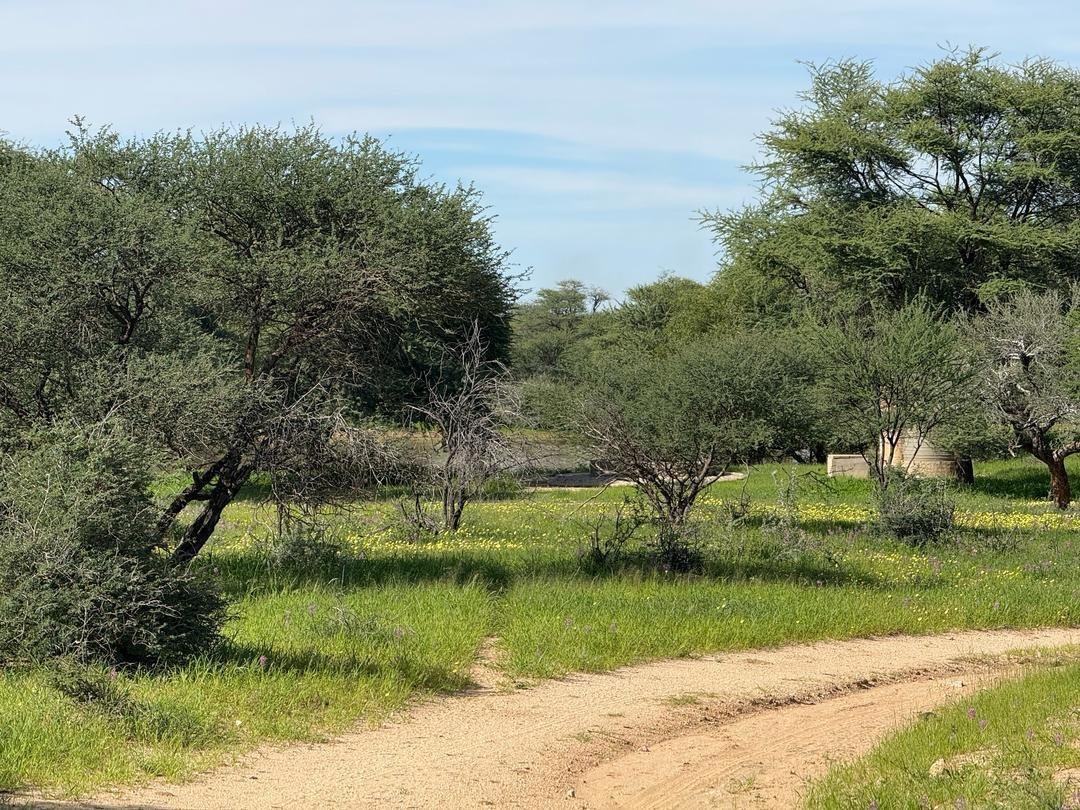 For Sale Farm In Omaruru, Namibia Farm Ranch in Omaruru, Erongo Region, Namibia