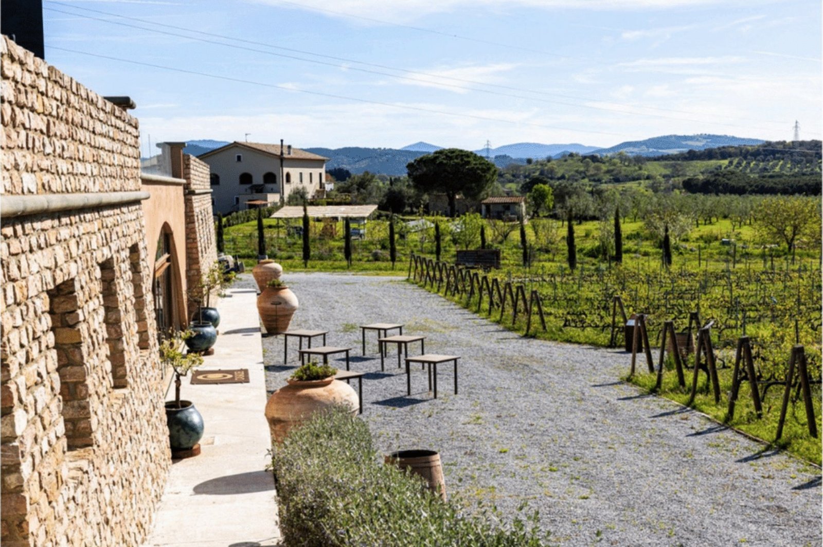 Prestigious Wine Estate In Val Di Cornia Farm Ranch in Suvereto, Tuscany, Italy 1 - 15665307