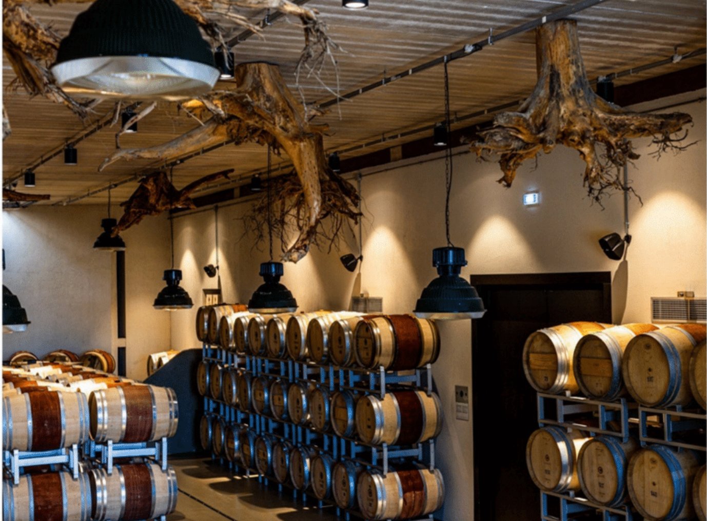 Prestigious Wine Estate In Val Di Cornia Farm Ranch in Suvereto, Tuscany, Italy 1 - 15665307