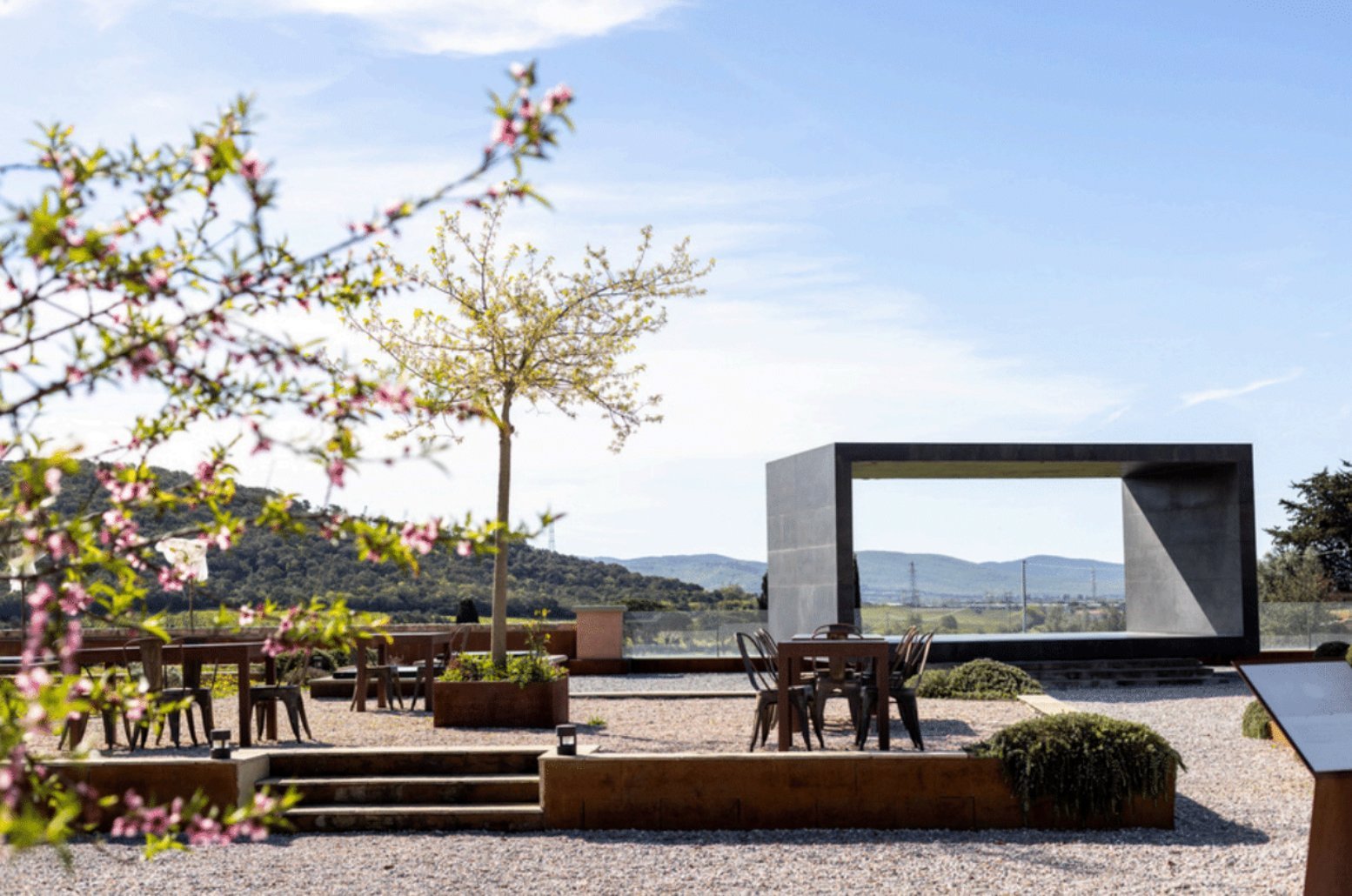 Prestigious Wine Estate In Val Di Cornia Farm Ranch in Suvereto, Tuscany, Italy 1 - 15665307