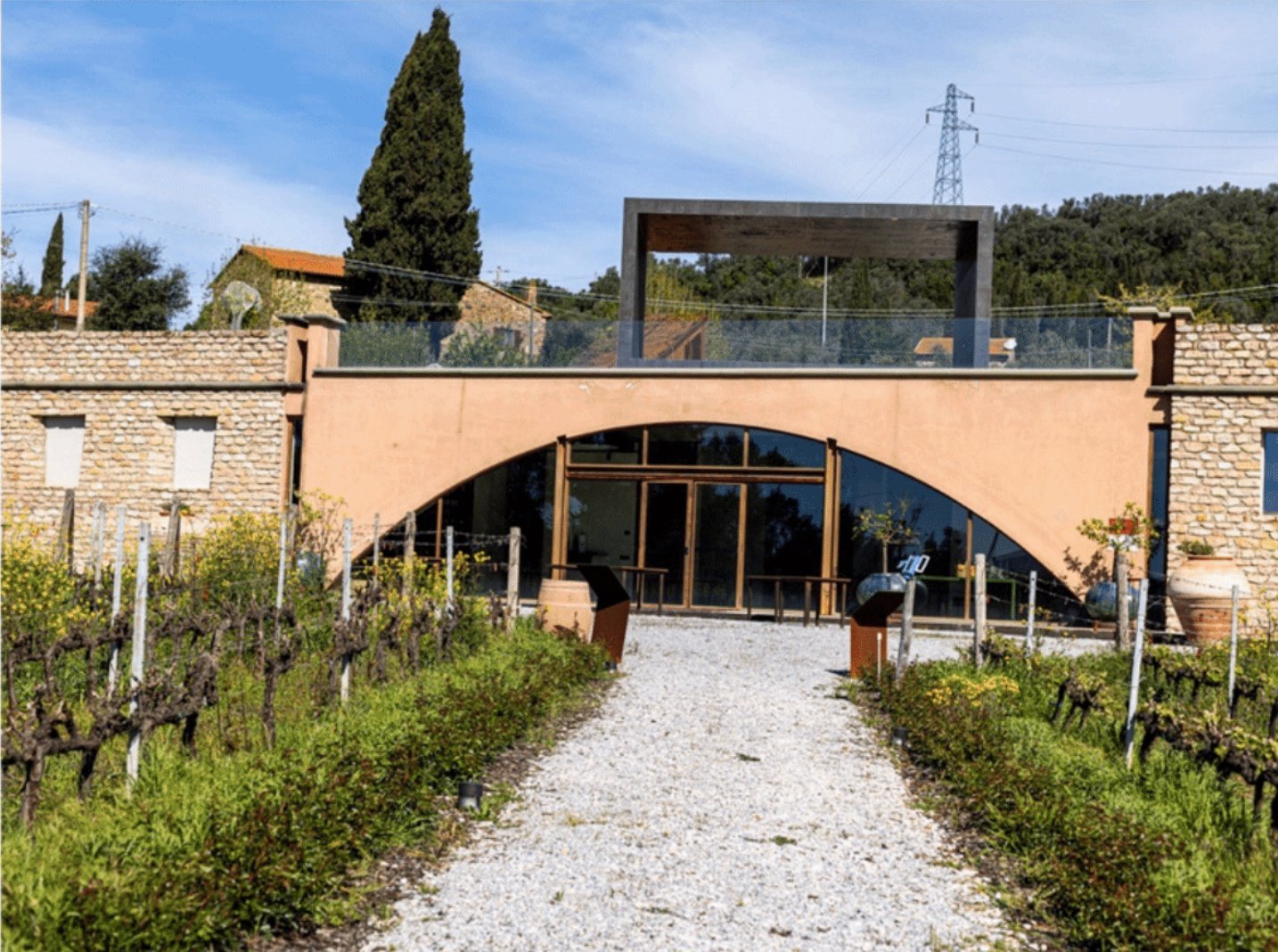 Prestigious Wine Estate In Val Di Cornia Farm Ranch in Suvereto, Tuscany, Italy 1 - 15665307