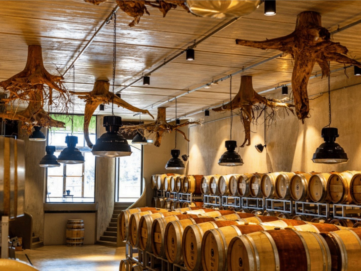 Prestigious Wine Estate In Val Di Cornia Farm Ranch in Suvereto, Tuscany, Italy 1 - 15665307