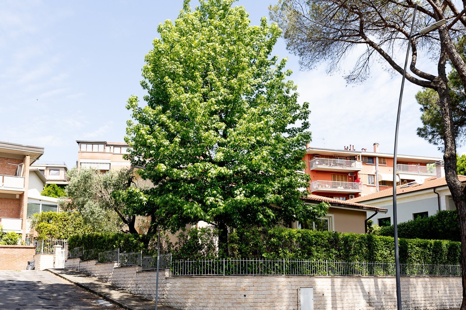 Prestigious Modern Villa With Luxury Finishes And Private Jacuzzi House in Montecatini Terme, Tuscany, Italy 1 - 15688987
