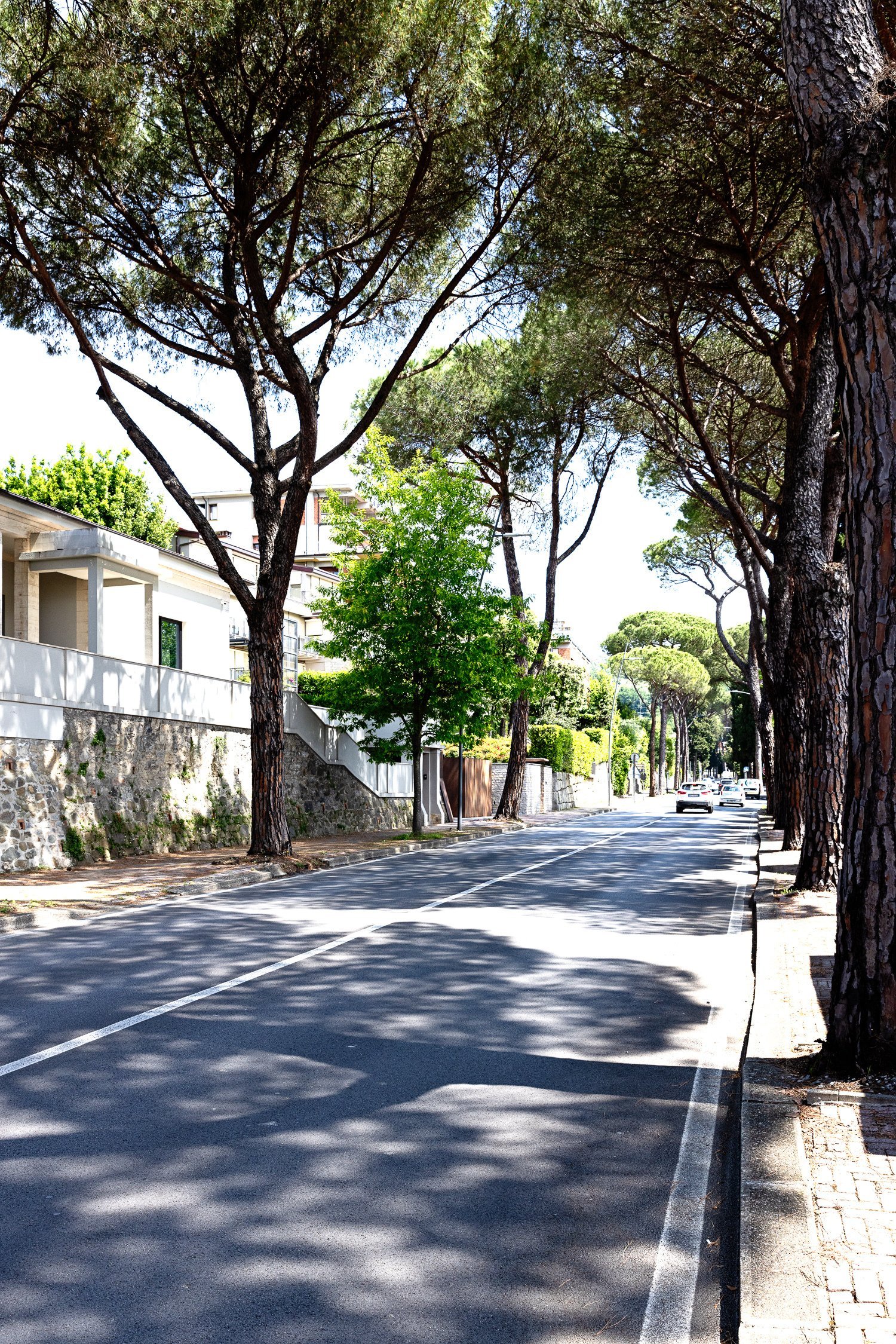 Prestigious Modern Villa With Luxury Finishes And Private Jacuzzi House in Montecatini Terme, Tuscany, Italy 1 - 15688987