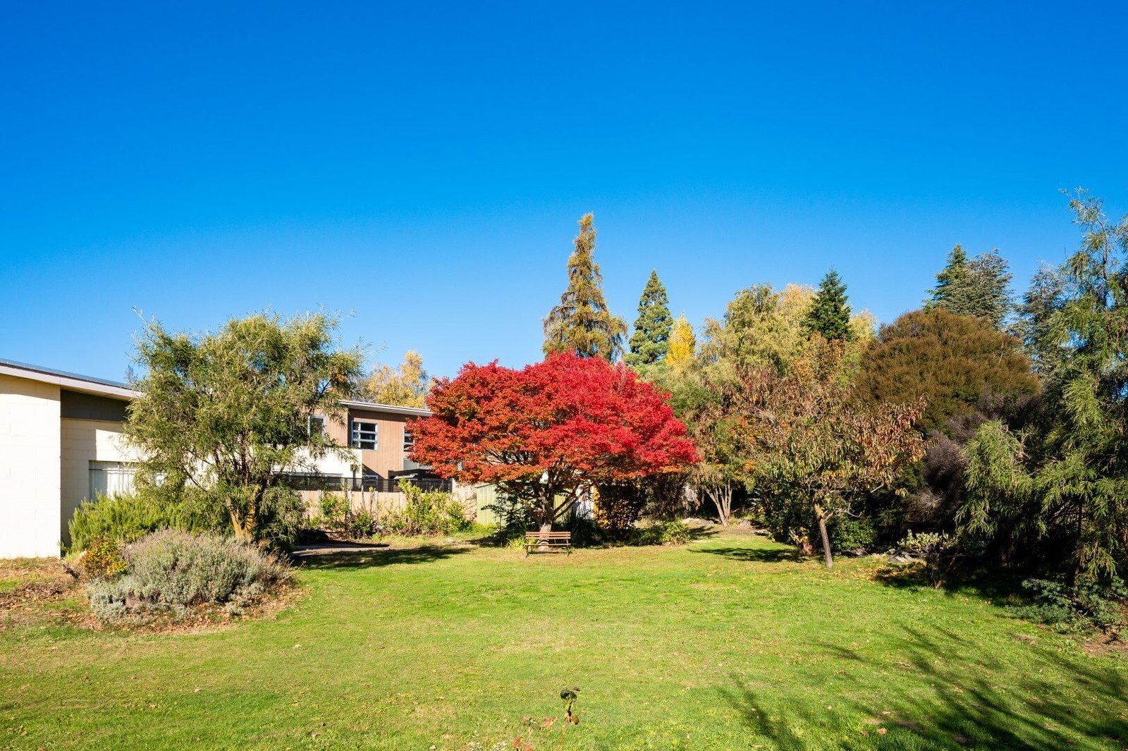 House in Wanaka, Otago, New Zealand 1 - 16299568