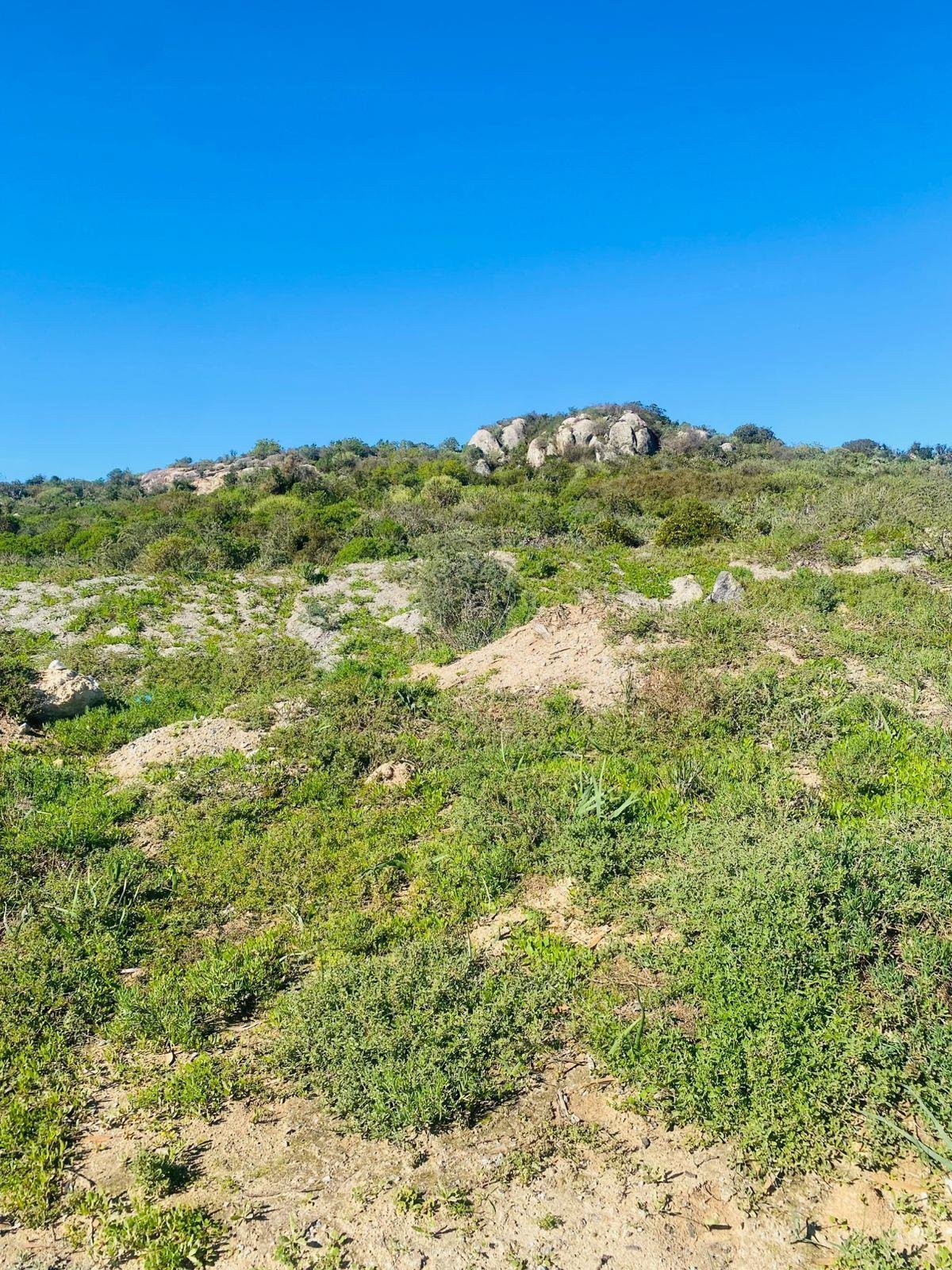 Land in Langebaan, Western Cape, South Africa 1 - 15853723