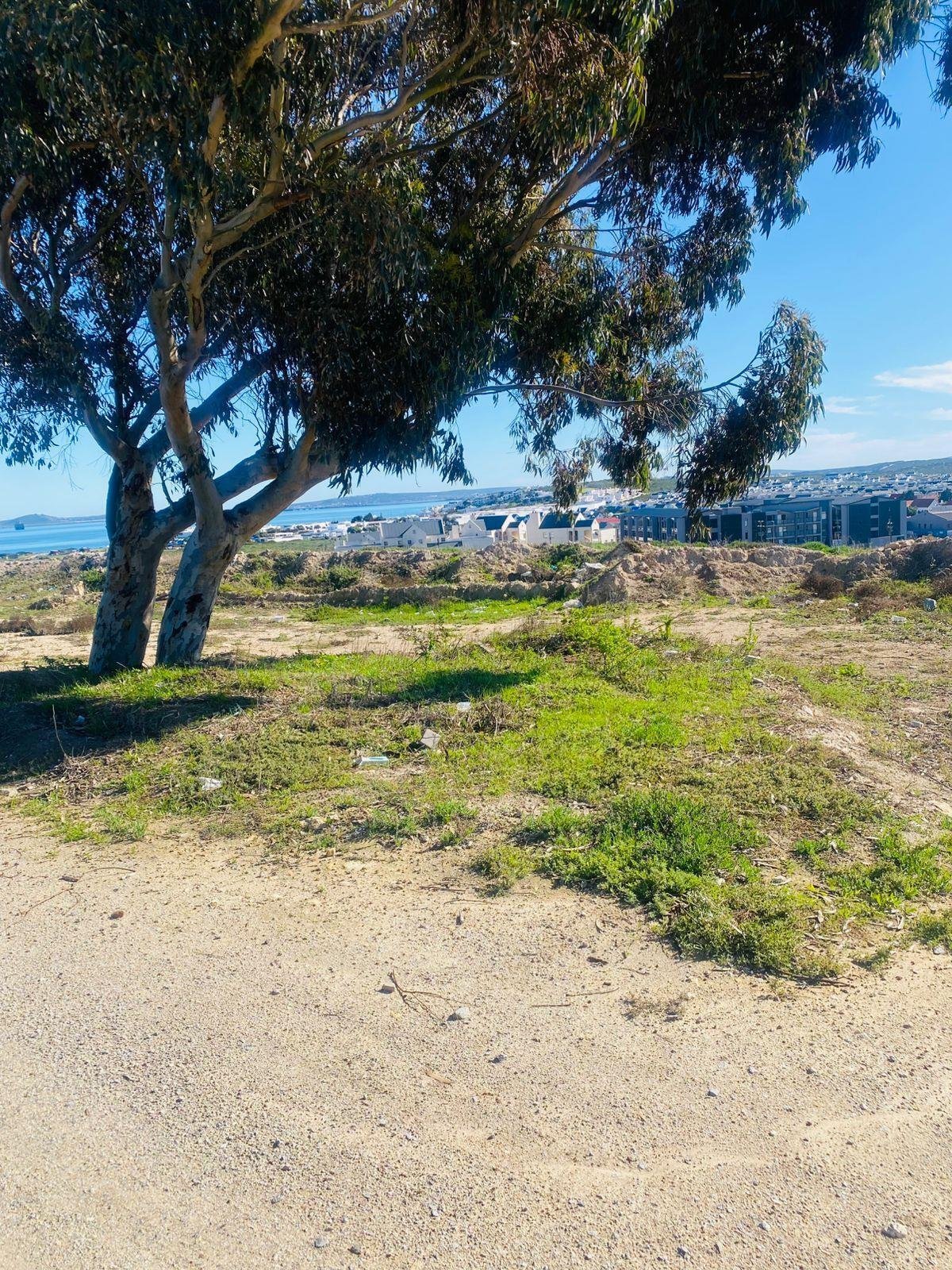 Land in Langebaan, Western Cape, South Africa 1 - 15853723