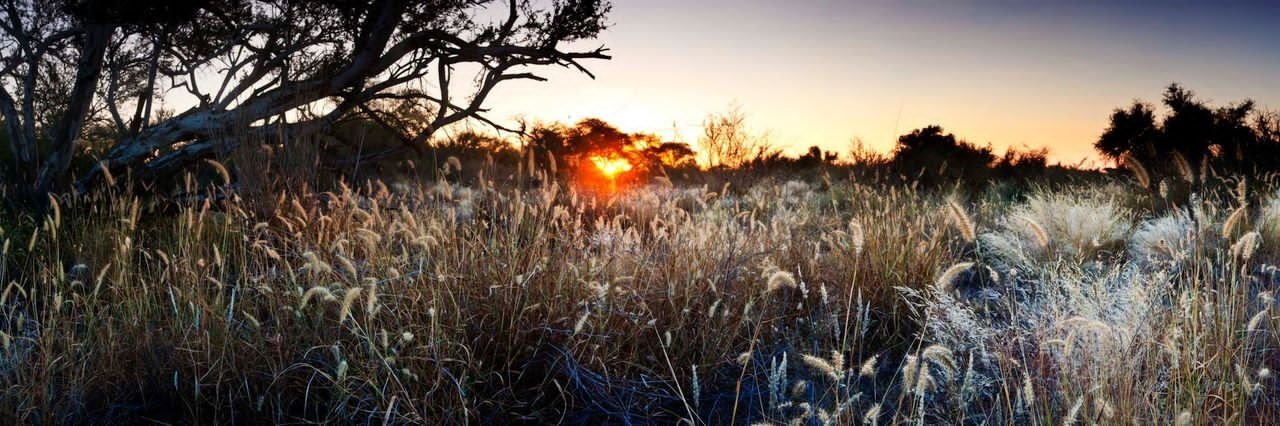 Game Lodge For Sale In The Mariental Area Mariental, Hardap Region, Namibia