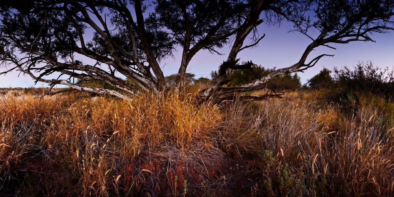 Game Lodge For Sale In The Mariental Area Mariental, Hardap Region, Namibia