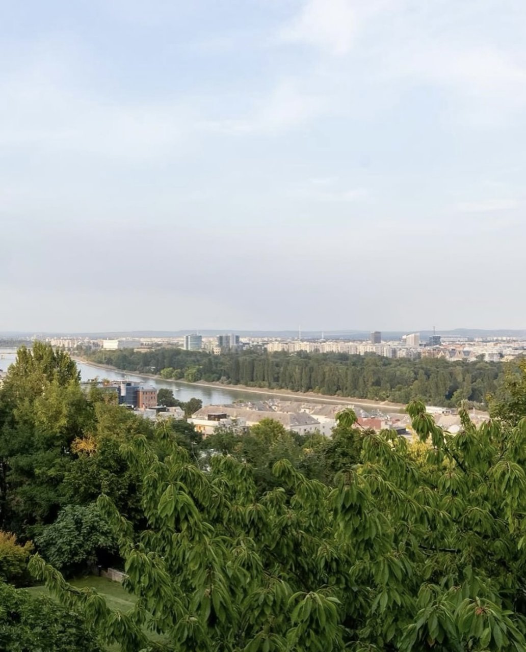 Panoramic Listed Building In The 2nd District, Rózsadomb Villa in Budapest, Hungary 1 - 15263866
