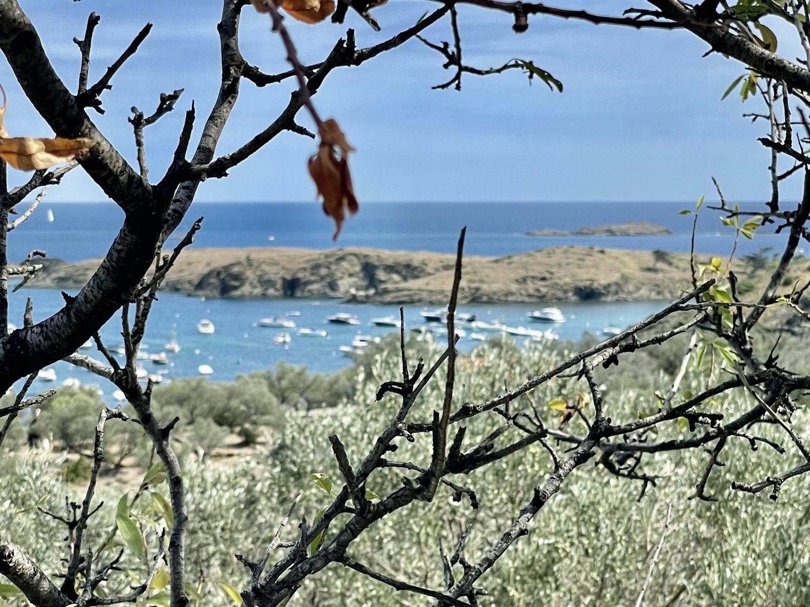 Off Market Opportunity – Refined Coastal Luxury In Iconic Cadaqués Villa in Cadaques, Catalonia, Spain 1 - 16365976