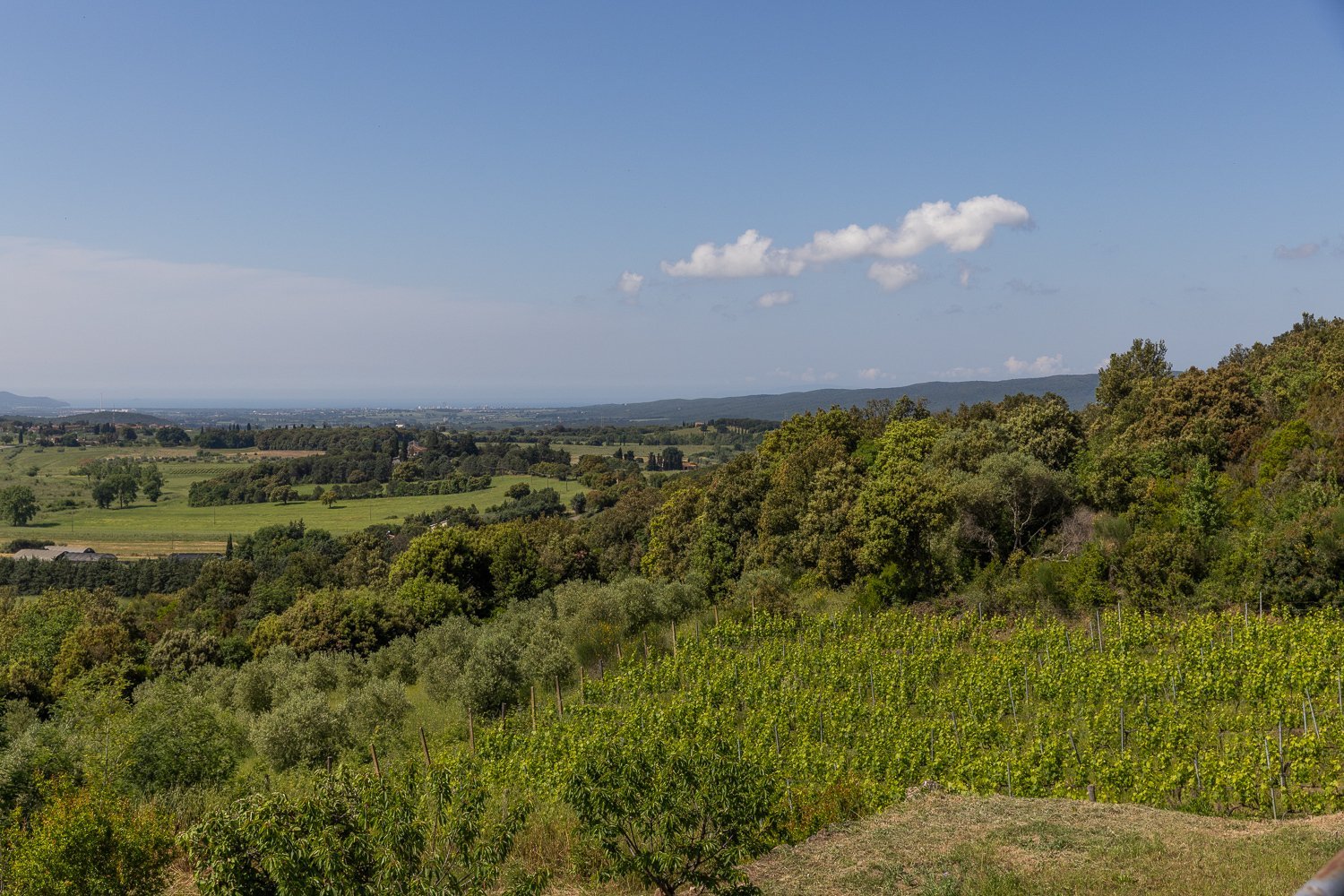 Magnificent Villa With Pool And Vineyard Views, Just Minutes From The Sea Villa in Massa Marittima, Tuscany, Italy 1 - 15665185