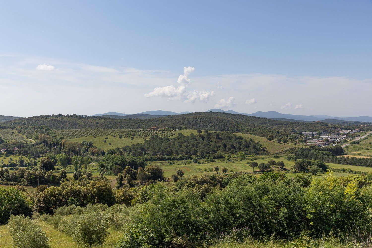 Magnificent Villa With Pool And Vineyard Views, Just Minutes From The Sea Villa in Massa Marittima, Tuscany, Italy 1 - 15665185