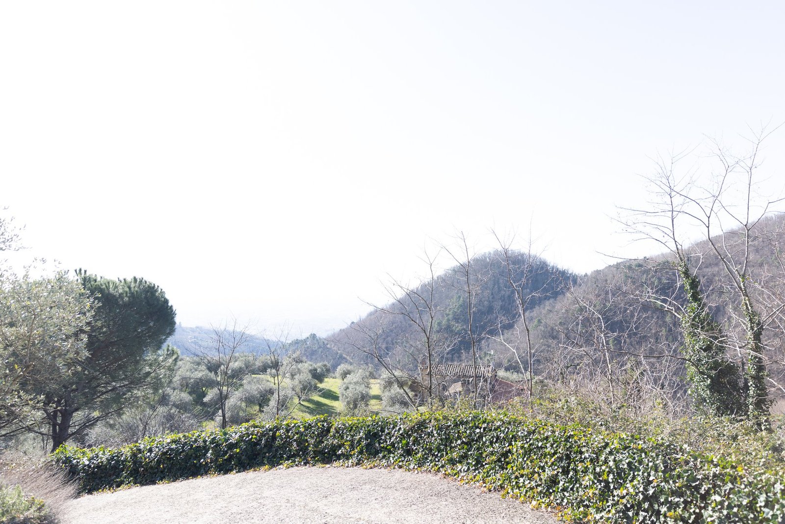 Rustic Traditional Tuscan Villa In Countryside Villa in Montecatini Terme, Tuscany, Italy 1 - 15500855