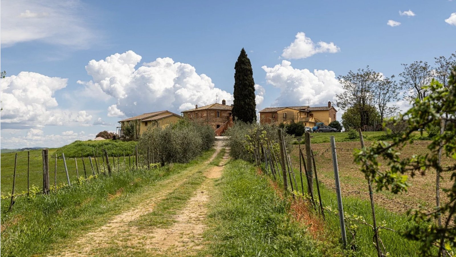 Complex Of 6 Properties In One Villa in Montepulciano, Tuscany, Italy 1 - 15536227