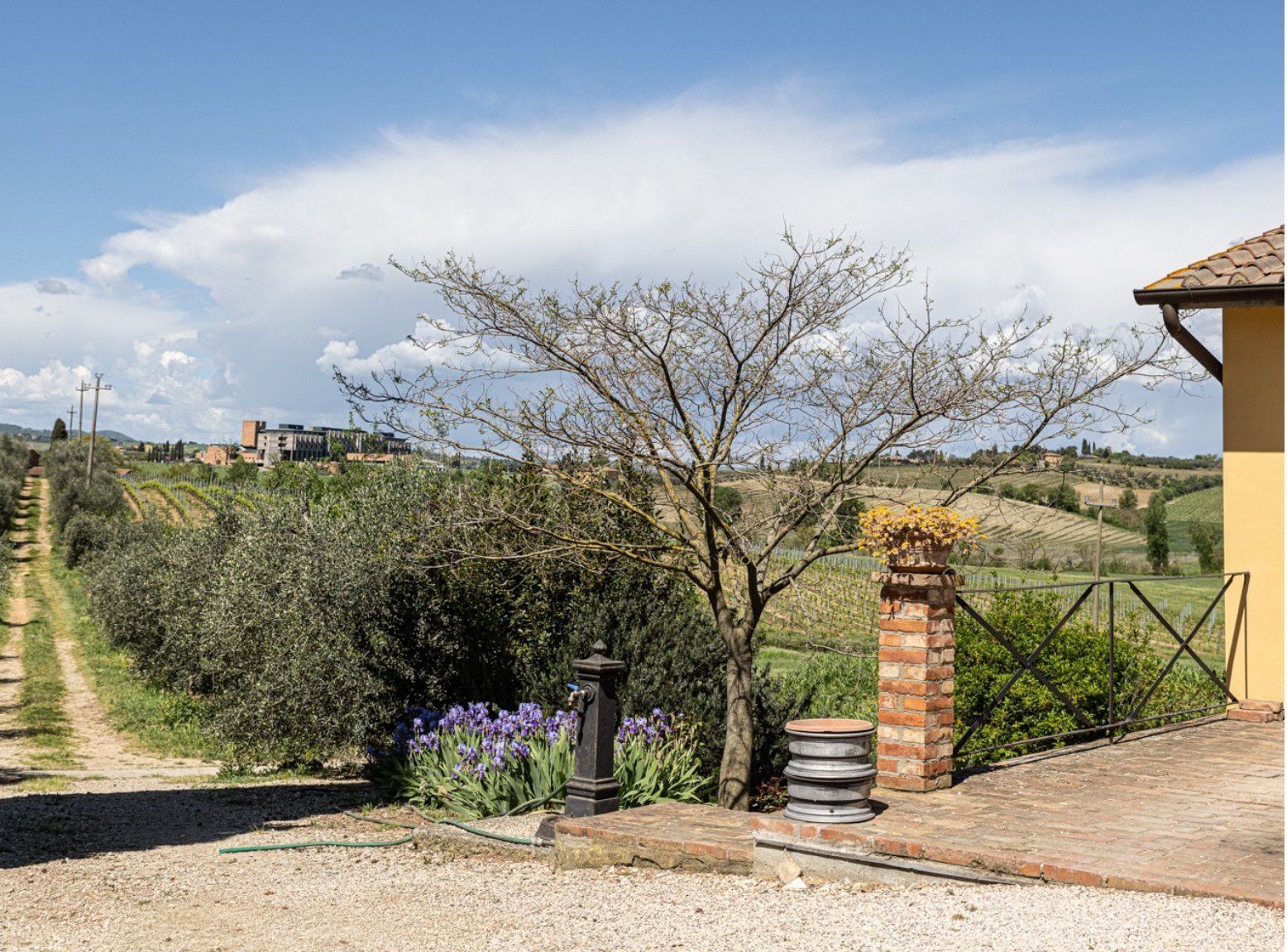 Complex Of 6 Properties In One Villa in Montepulciano, Tuscany, Italy 1 - 15536227