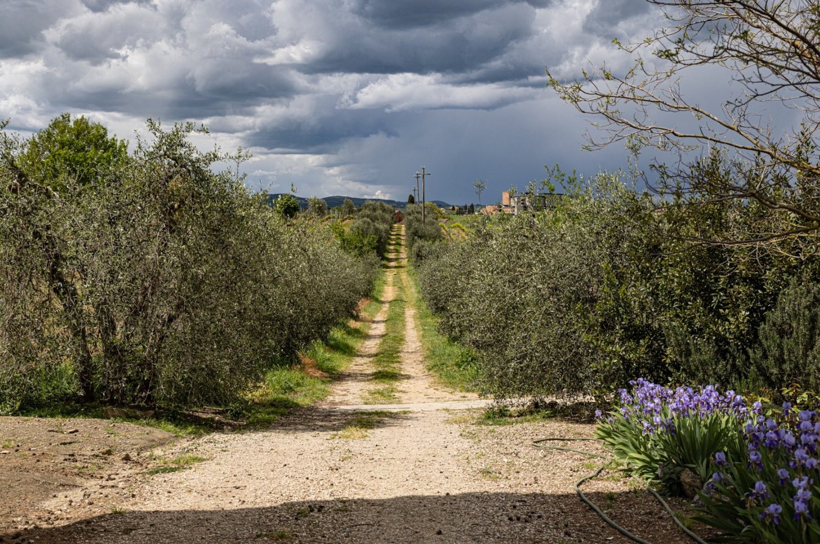 Complex Of 6 Properties In One Villa in Montepulciano, Tuscany, Italy 1 - 15536227
