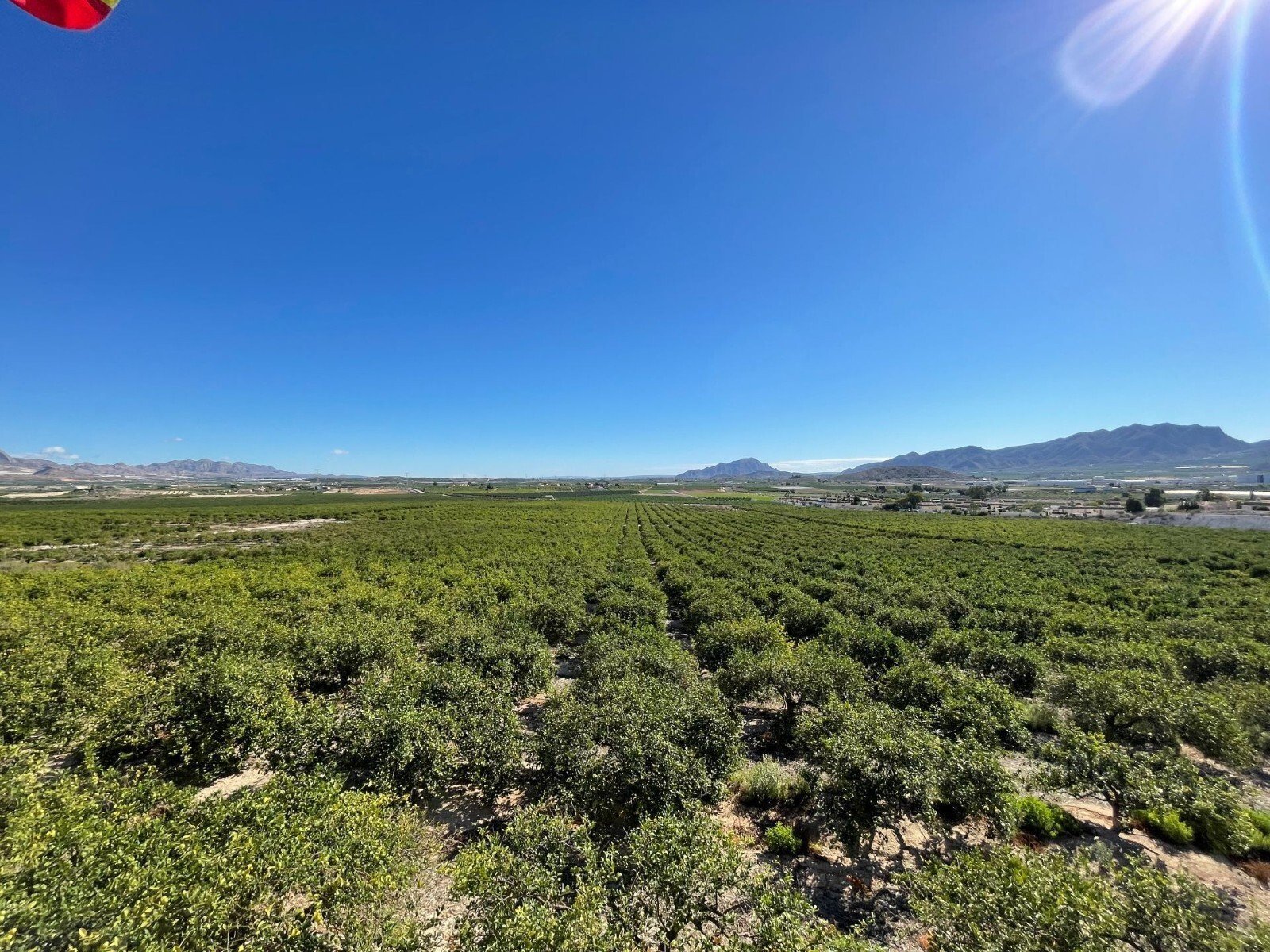 Murcia Villa Villa in Murcia, Region of Murcia, Spain 1 - 16403532
