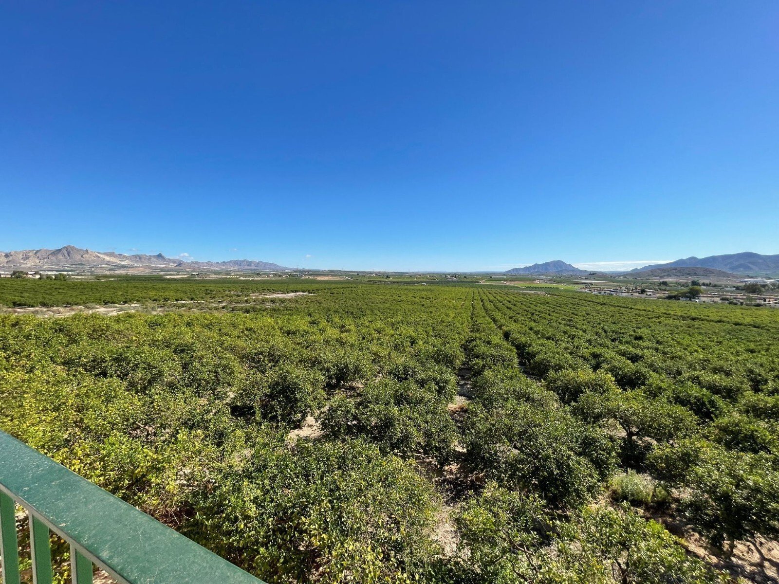 Murcia Villa Villa in Murcia, Region of Murcia, Spain 1 - 16403532