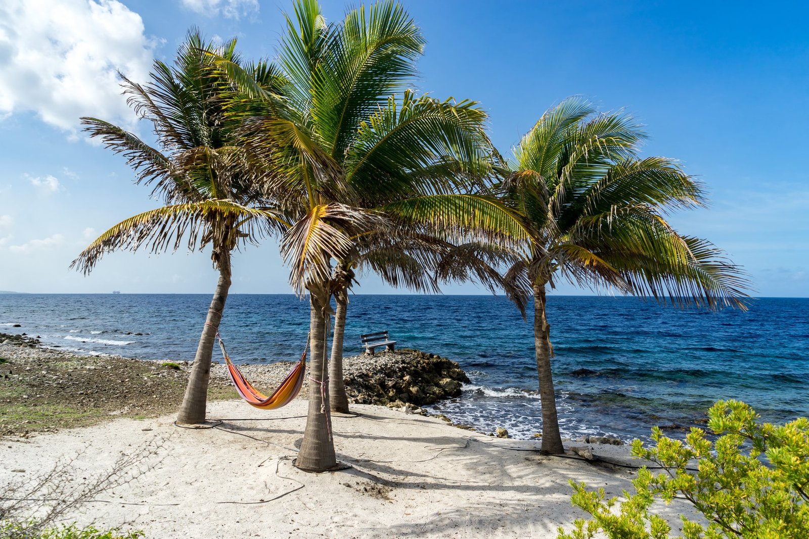Coral Estate Curacao: House For Sale Directly On The Caribbean Sea Villa in Sint Willibrordus, Curaçao, Curaçao 1 - 14383587