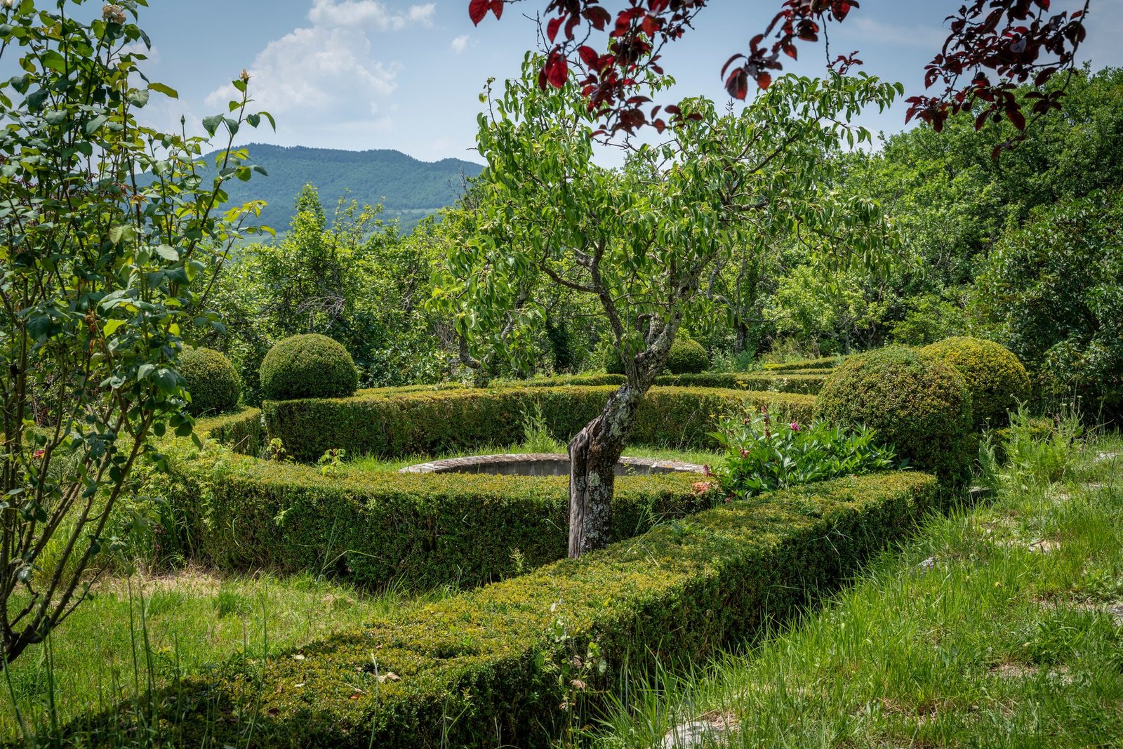Villa Storica Con Giardino All’italiana Villa in Tuscany, Italy 1 - 15881288