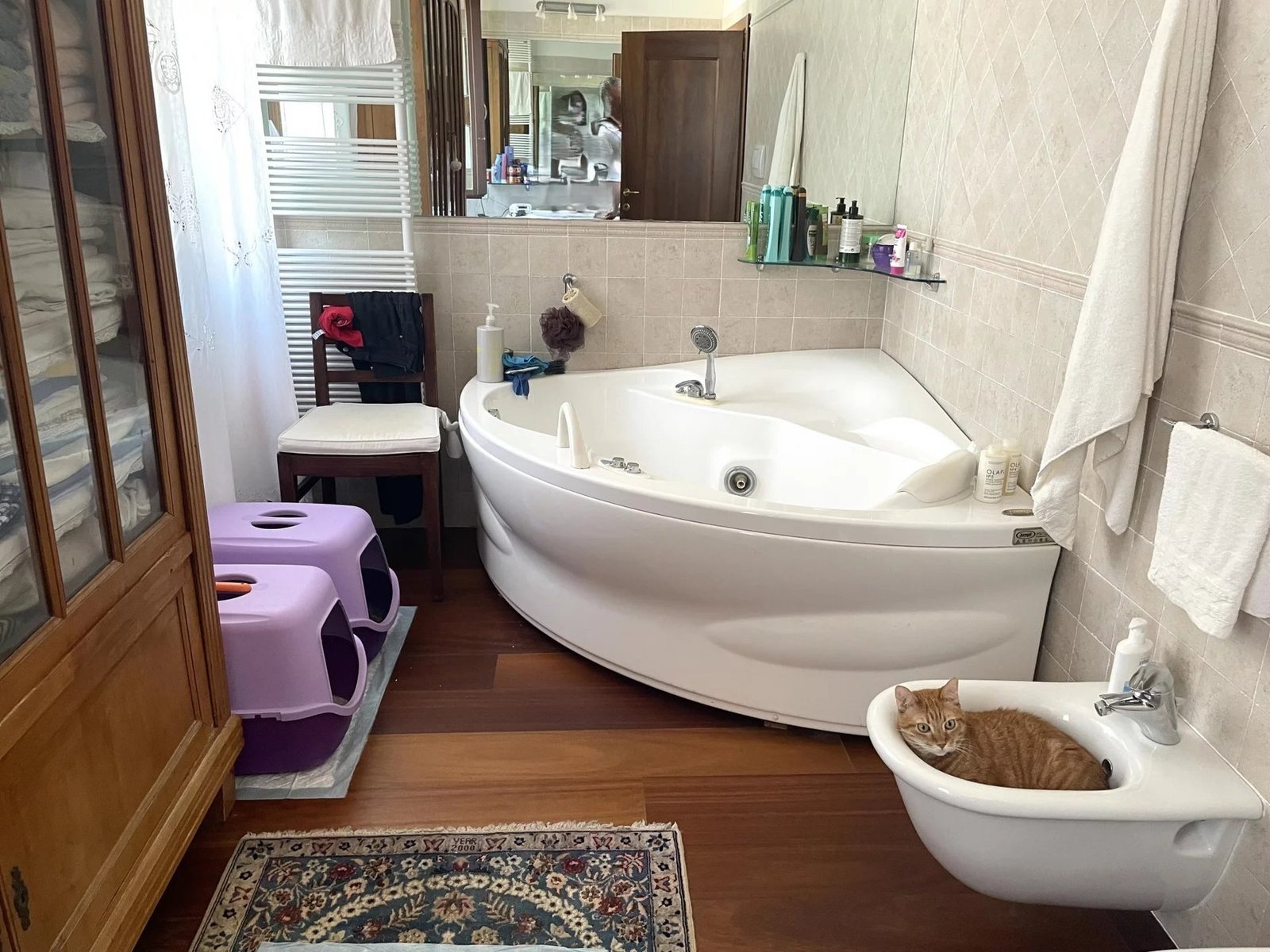 Apartment in Lido, Veneto, Italy 1 - 15782539