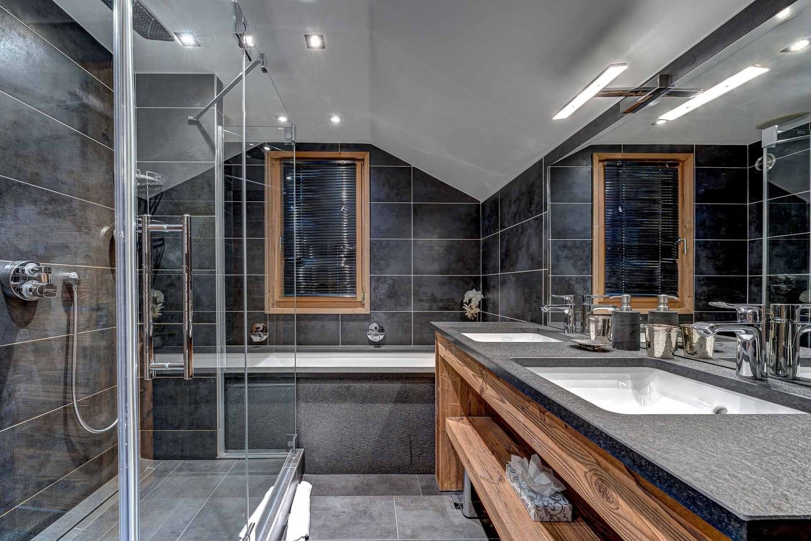 Chalet in Les Allues, Auvergne-Rhône-Alpes, France 1 - 16163926