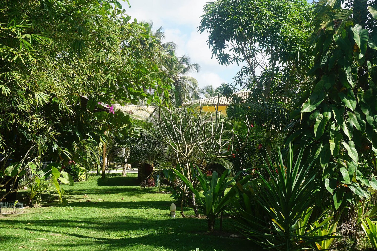 Tropical Brazilian Beach Front Resort For Sale In Bahia Estate in Santo André, State of Bahia, Brazil 1 - 12671479