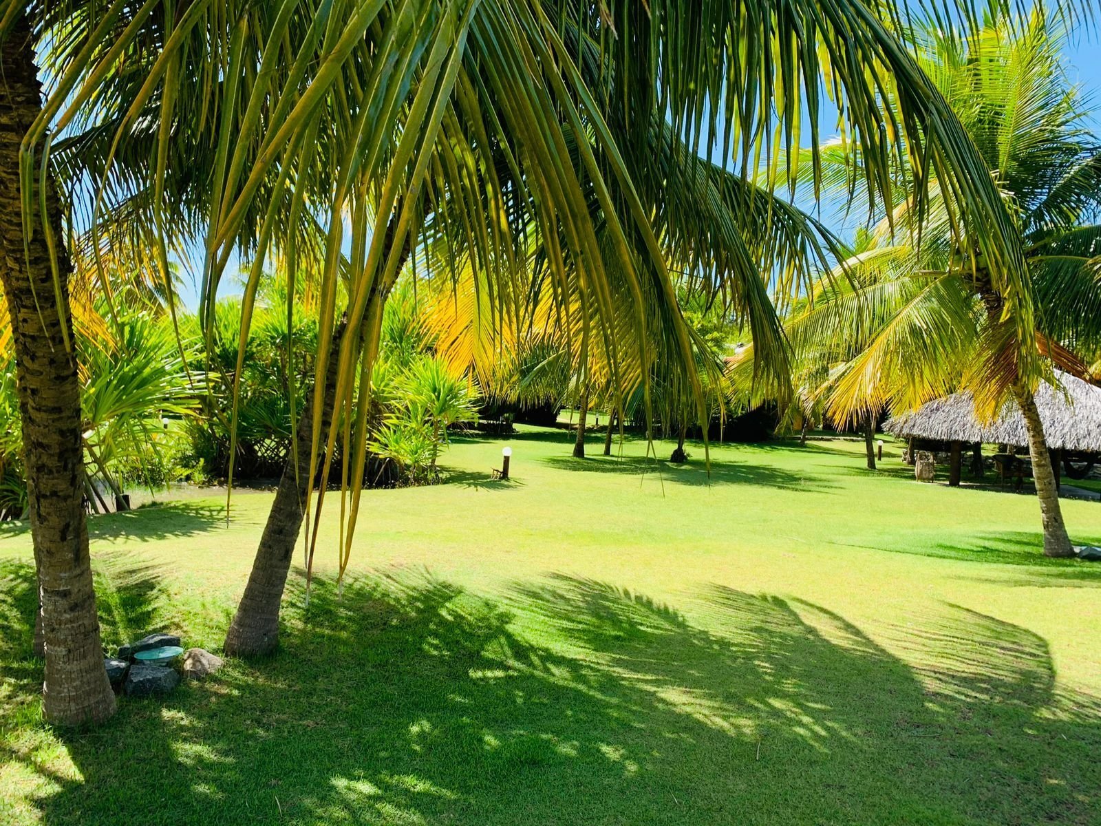 Estate in São Miguel dos Milagres, State of Alagoas, Brazil 1 - 12328509